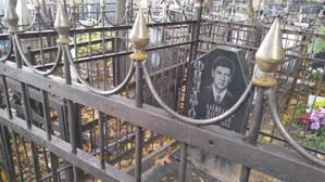 Ограды становятся чистыми